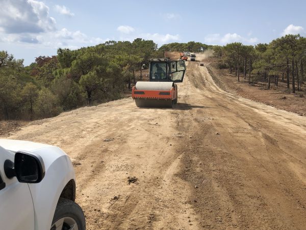 Cost of Driveway Grading in Englewood