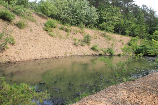 Pond Erosion Repair in Englewood