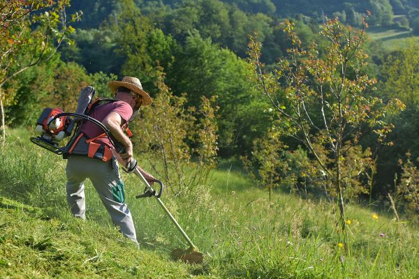 Cost of Slope Trimming in Englewood